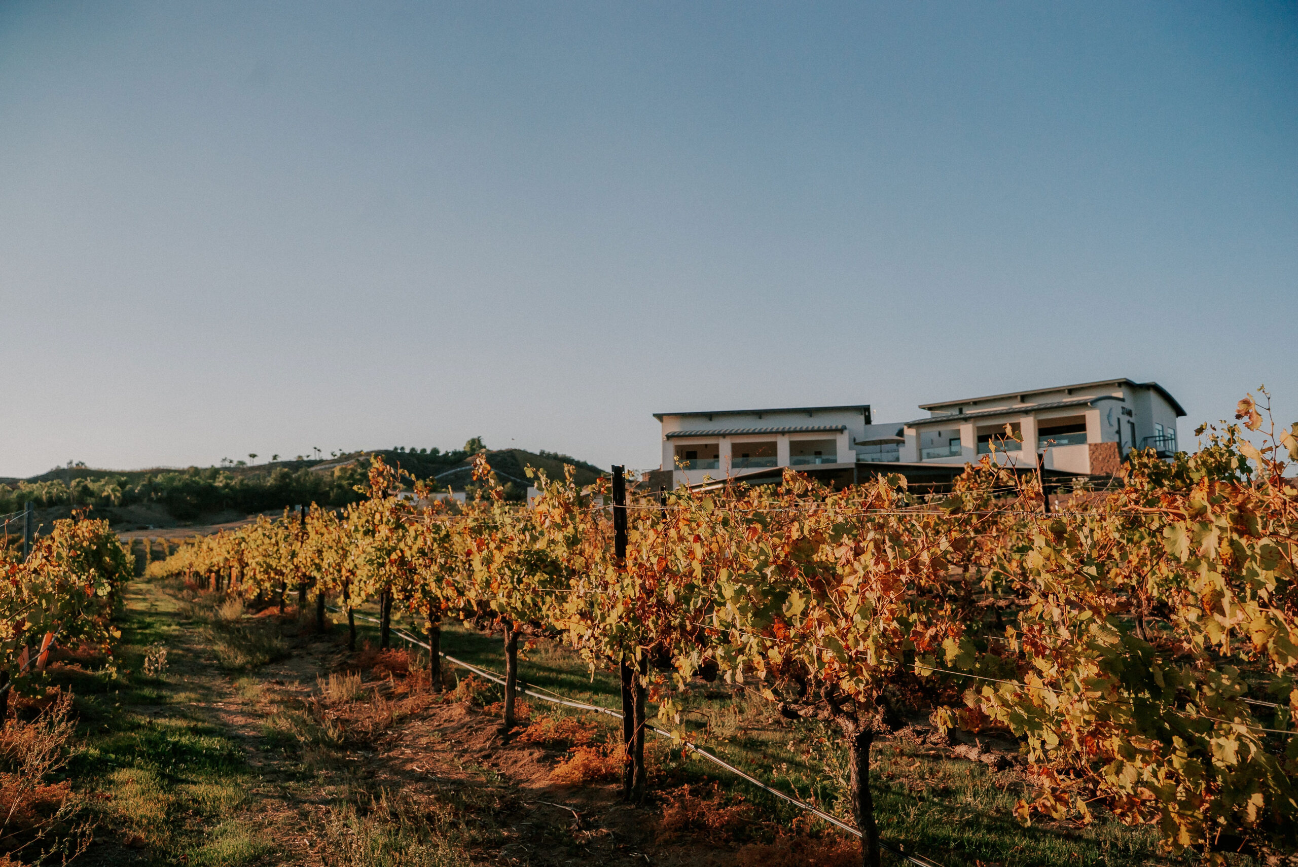 altisima winery tour