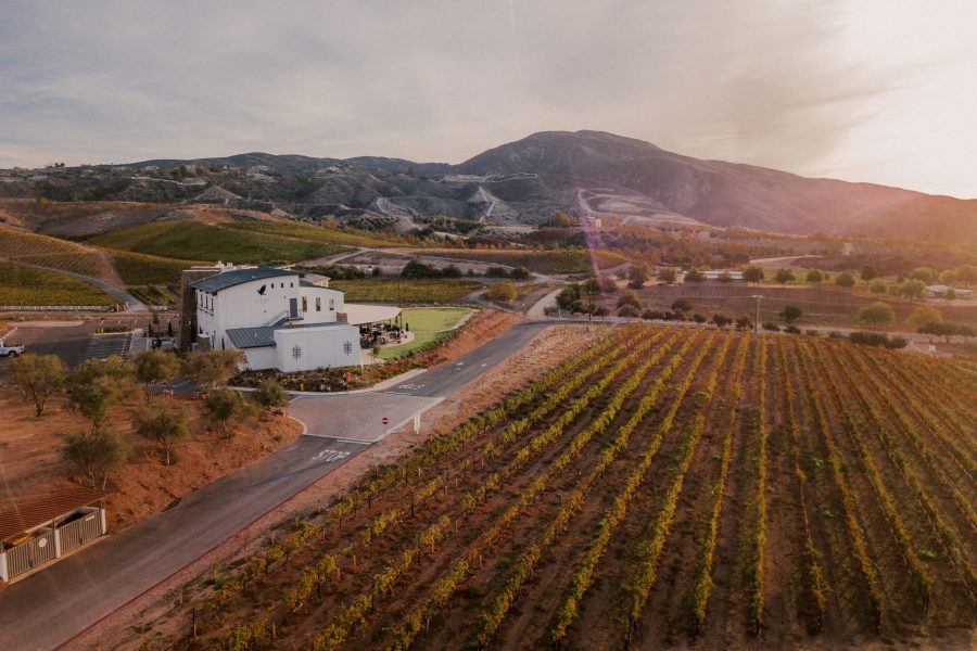 altisima winery tour vineyard