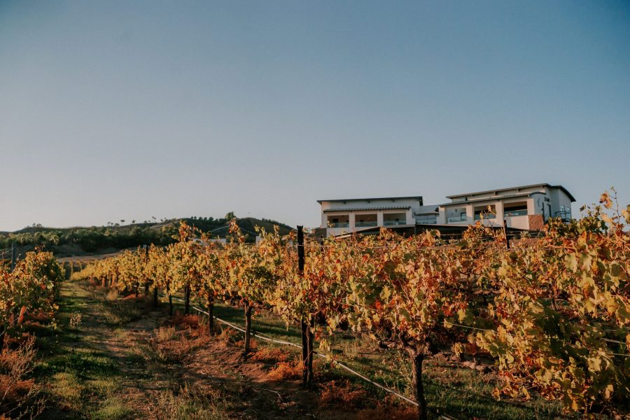 altisima winery tour