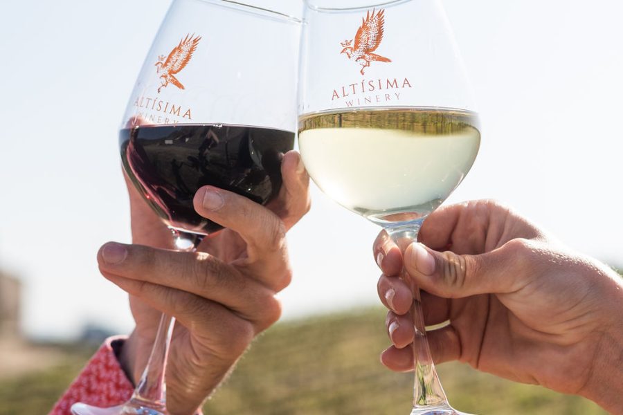 Two hands holding glasses of red and white wine, toasting against a backdrop of a vineyard under a clear blue sky. The glasses feature the logo "Altísima."